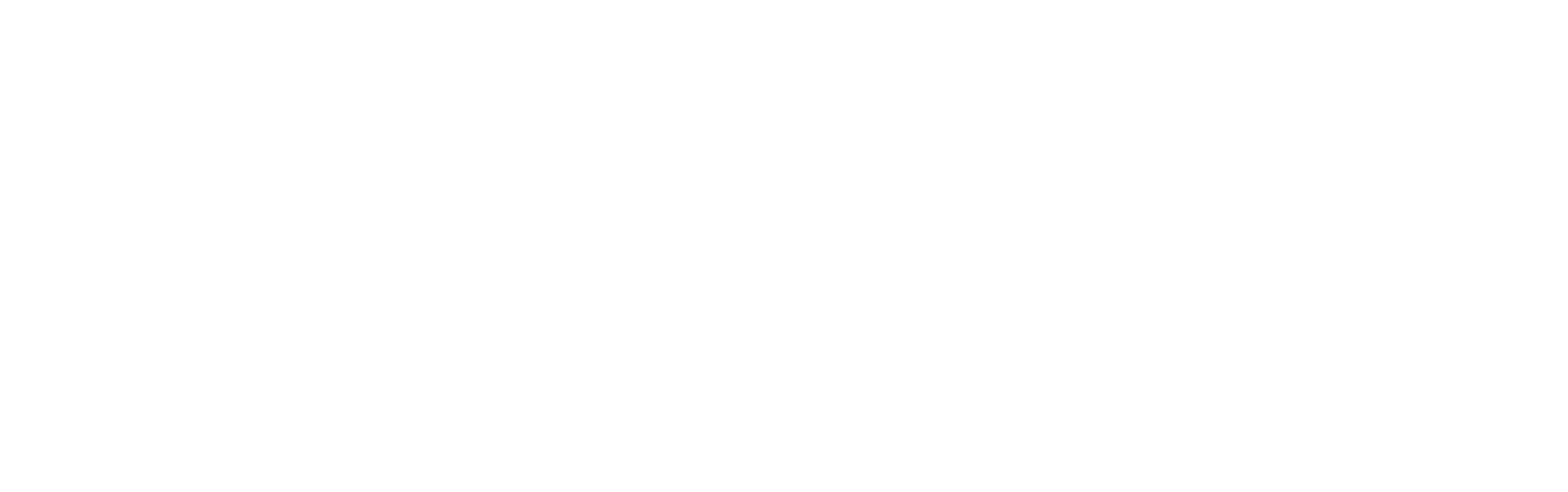 Logo BHG Capital